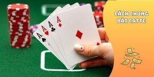 Cách Chưng Bài Catte