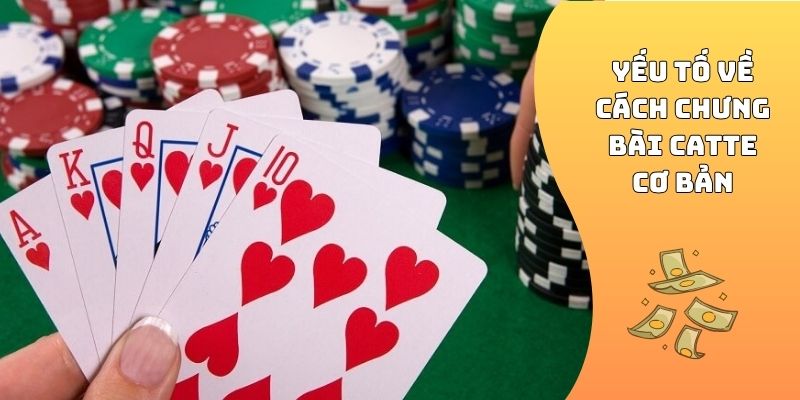Yếu tố về cách chưng bài Catte cơ bản