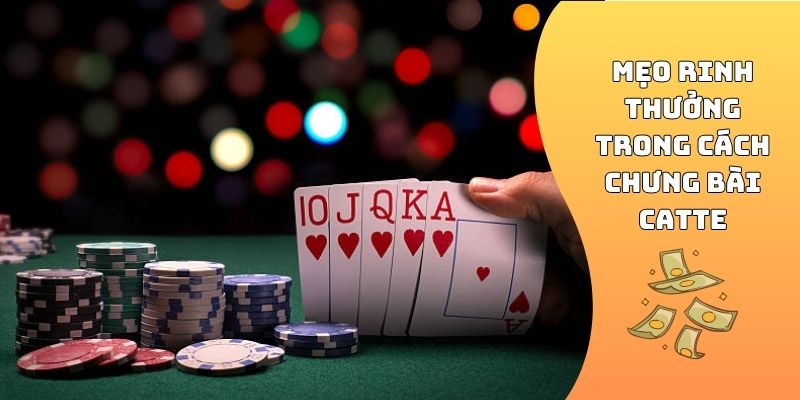 Mẹo rinh thưởng trong cách chưng bài Catte