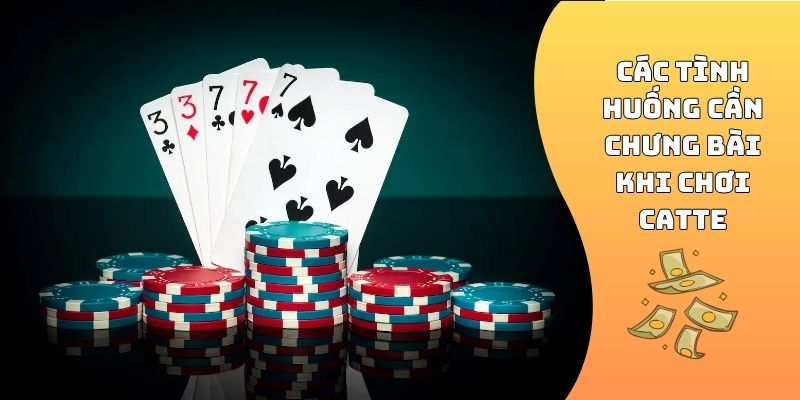 Các tình huống cần chưng bài khi chơi Catte