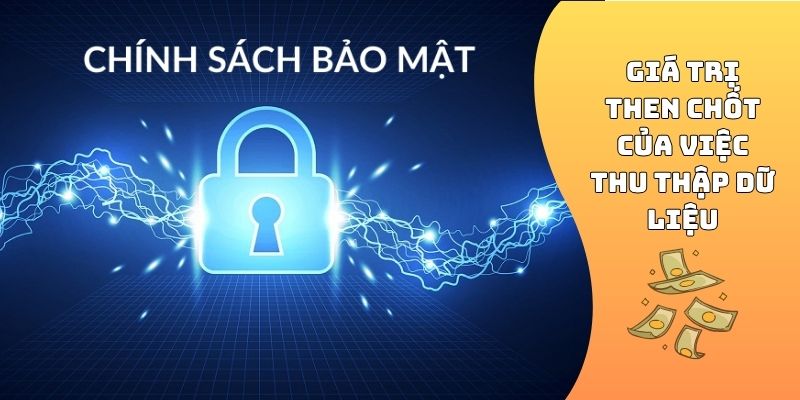 Giá trị then chốt của việc thu thập dữ liệu