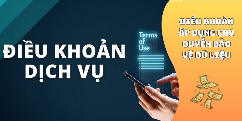 Điều khoản áp dụng cho quyền bảo vệ dữ liệu