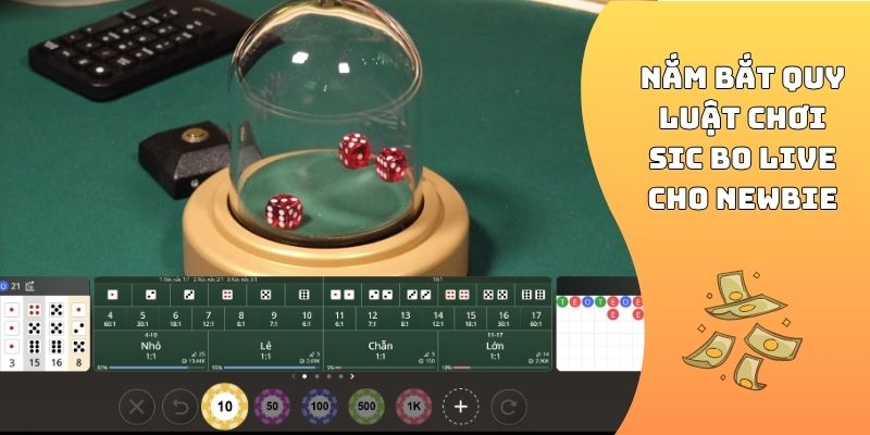 Nắm bắt quy luật chơi Sic bo live cho newbie